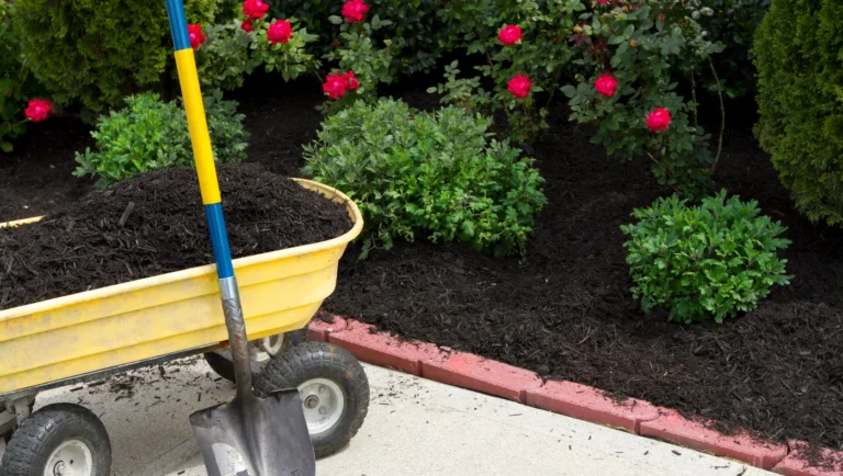 Mulch Delivery